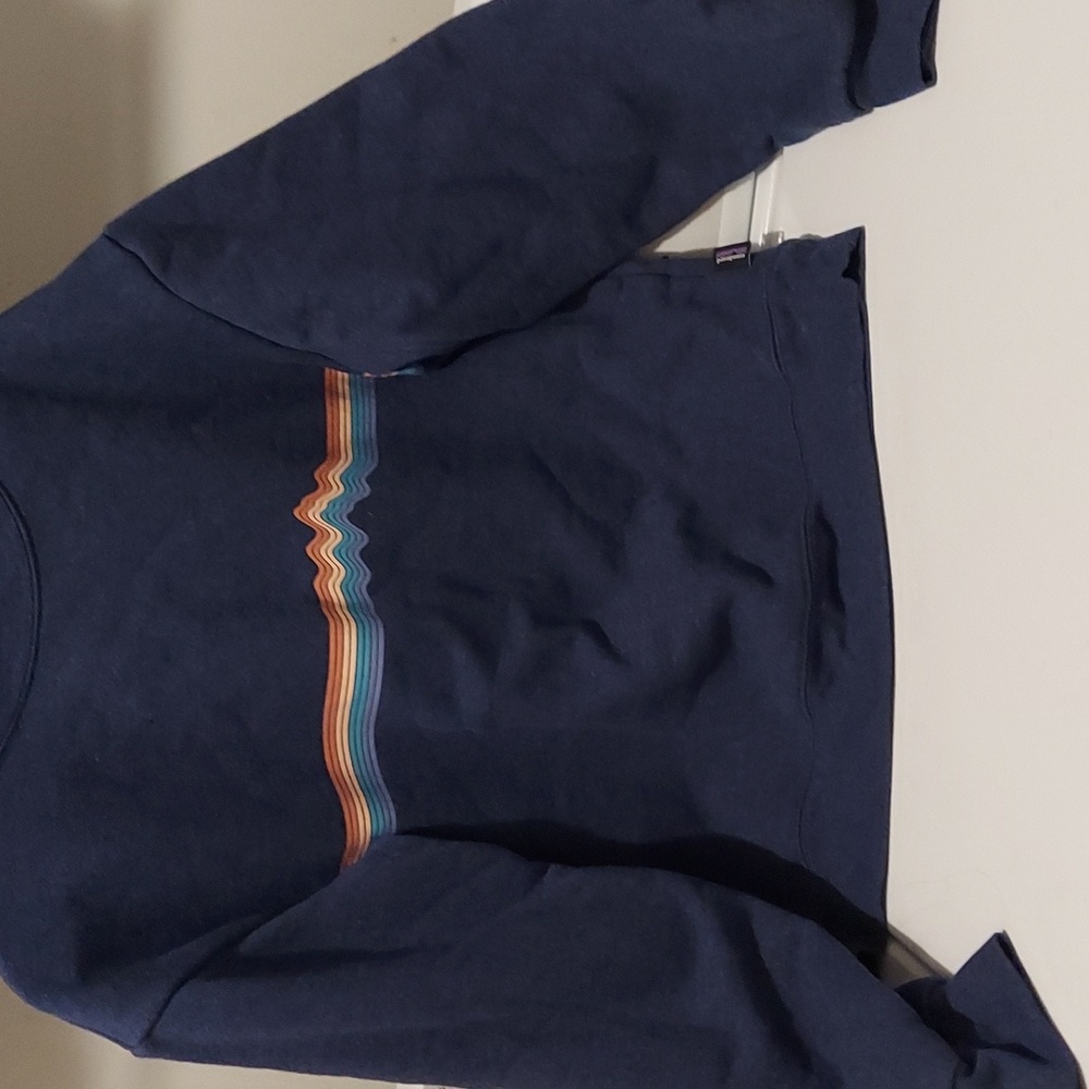 Patagonia Sweatshirt